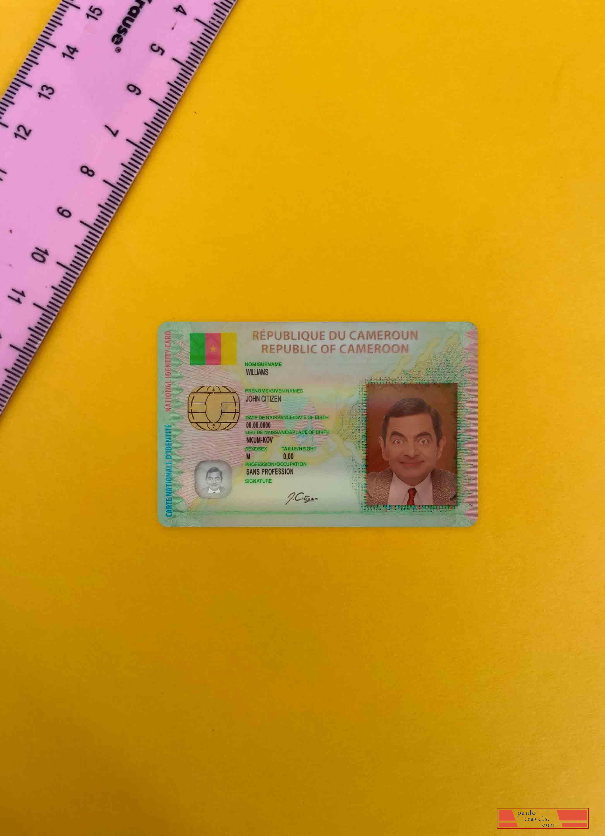 Cameroon ID photolook FRONT PSD template